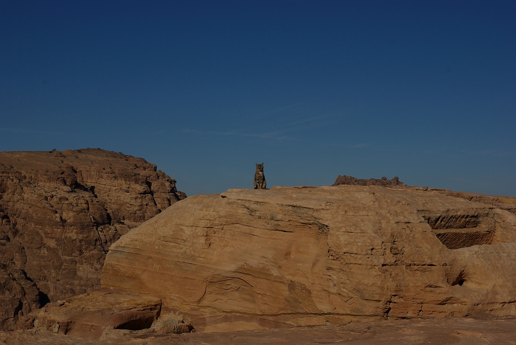 IMGPb0931.JPG - Petra