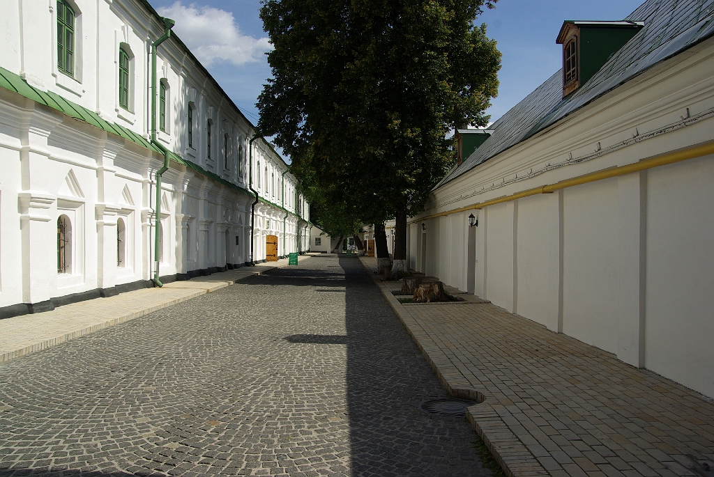 IMGP7345.jpg
