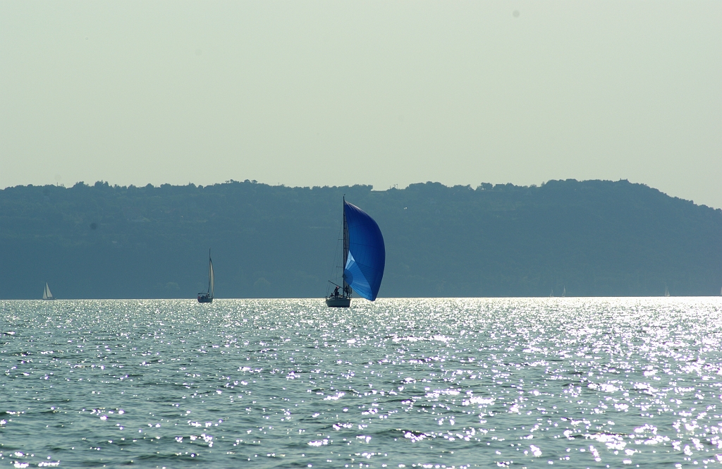 IMGP7838.jpg