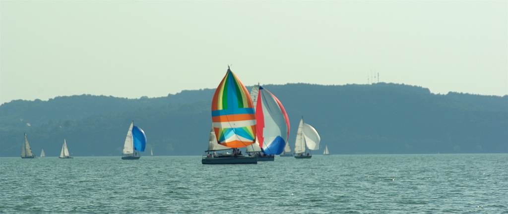 IMGP7848.jpg