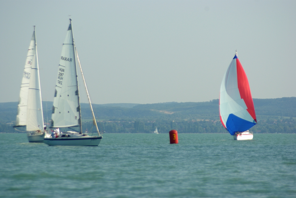 IMGP7858.jpg