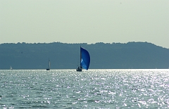 IMGP7838