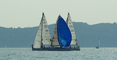 IMGP7845