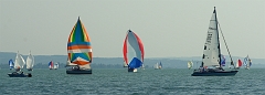 IMGP7855
