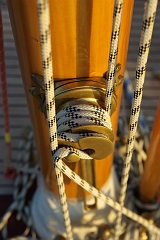 IMGP7732