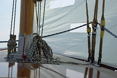 IMGP7798