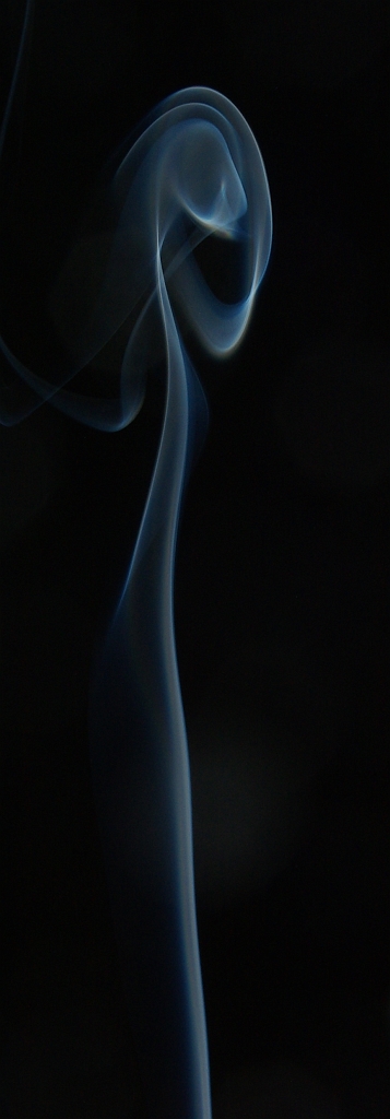 IMGP7899crop.jpg