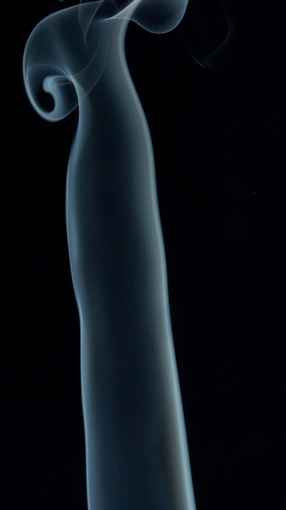 IMGP7929_1.jpg
