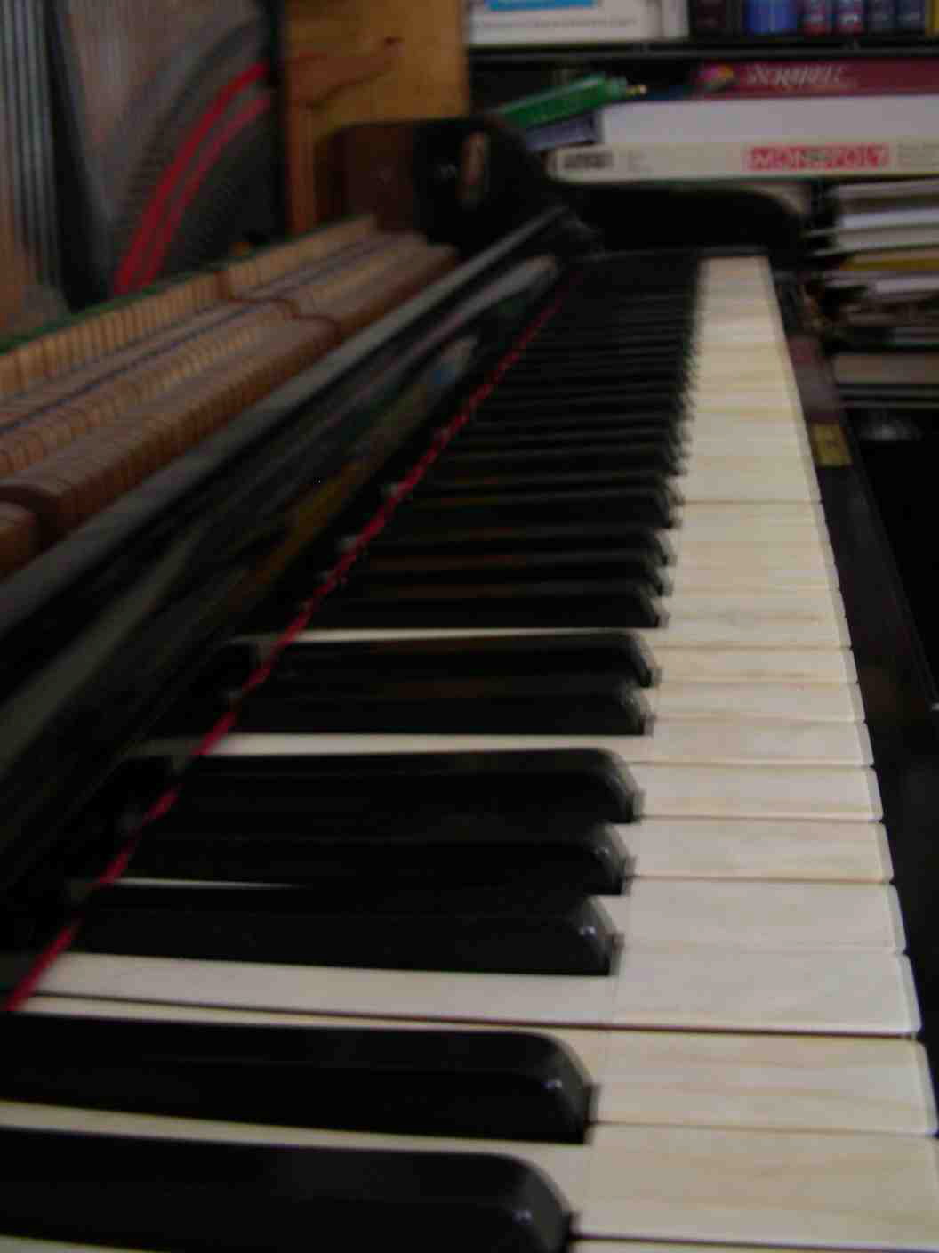 DSCN0276