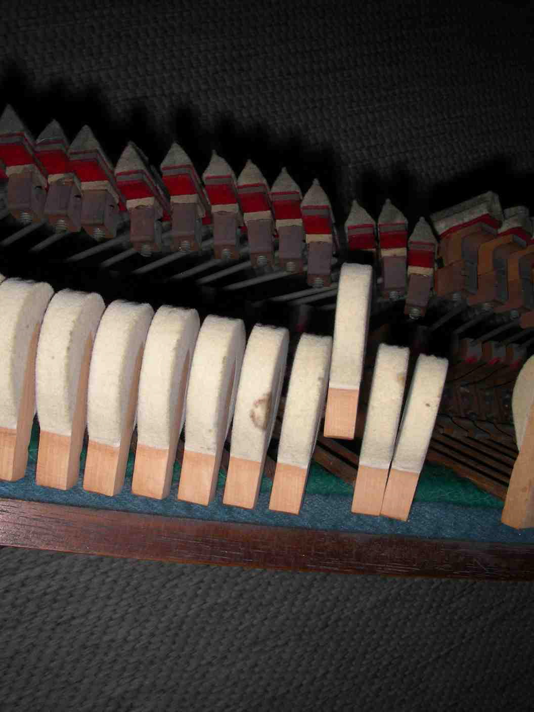 DSCN0279