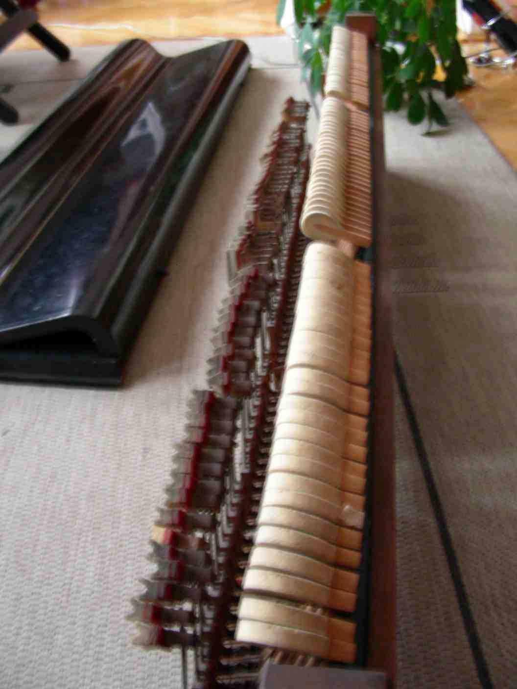 DSCN0285