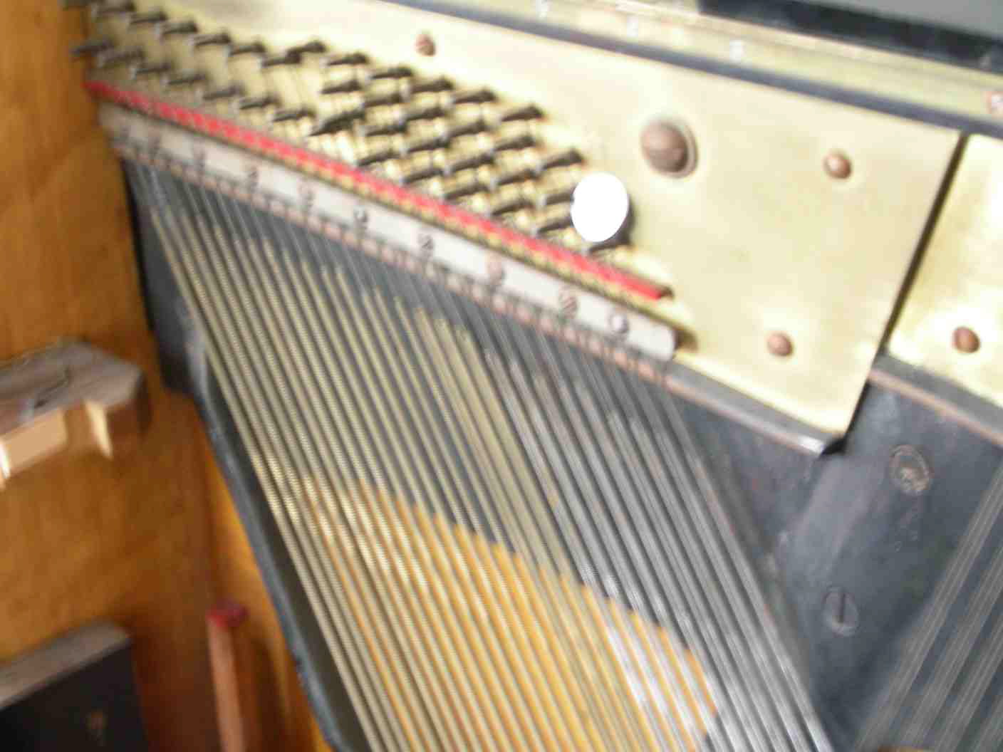 DSCN0262