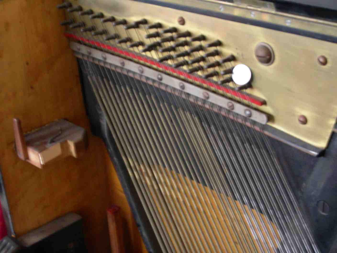 DSCN0263