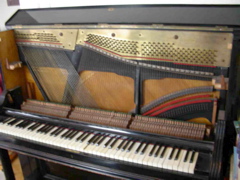 DSCN0255