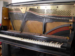 DSCN0256