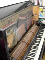 DSCN0265