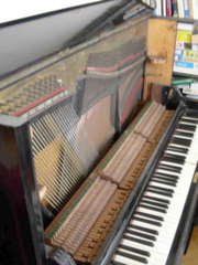 DSCN0266