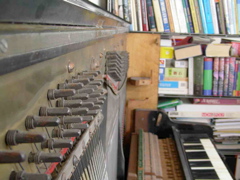 DSCN0267