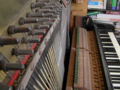 DSCN0270