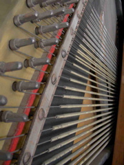 DSCN0272