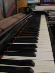 DSCN0276