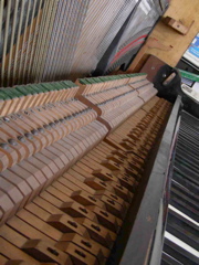 DSCN0278