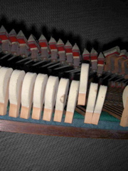 DSCN0279