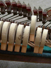 DSCN0281