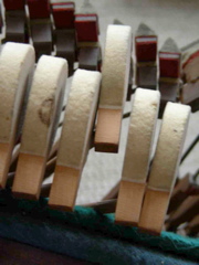 DSCN0282