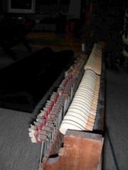 DSCN0284