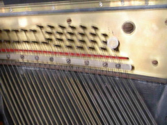 DSCN0258