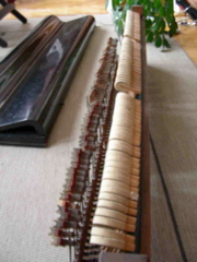 DSCN0285