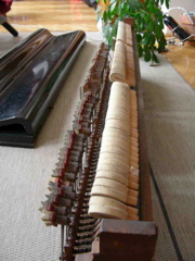 DSCN0286