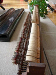 DSCN0287