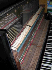DSCN0293