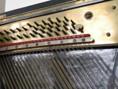DSCN0259