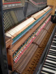 DSCN0295