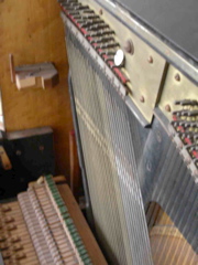 DSCN0261