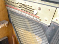 DSCN0262