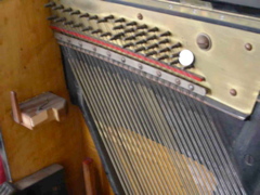 DSCN0263