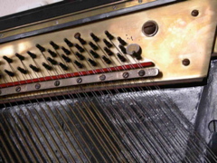 DSCN0264